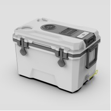 36L Semiconductor cooler box