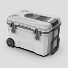 36L Semiconductor cooler box